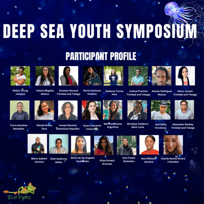 _Deep Sea Symposium Participant Booklet to share (Talking Presentation) (Instagram Post (Square))