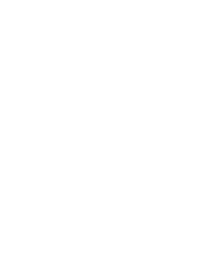 SOA Logo White Transparent Cropped