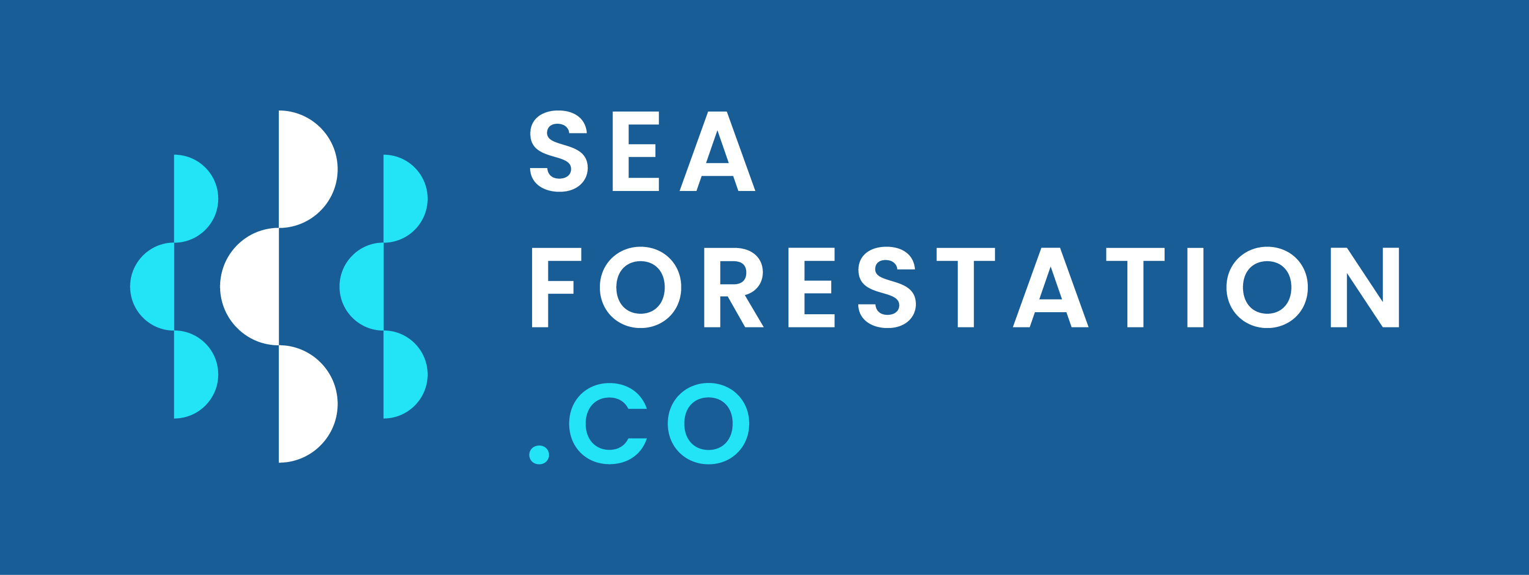 seaforestation